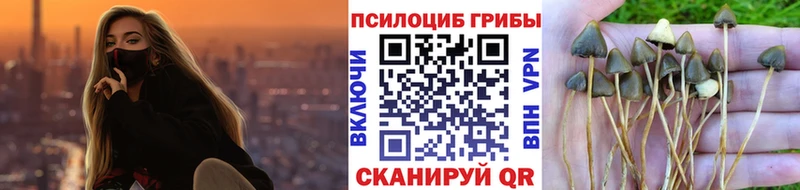 где продают Сарапул Галлюциногенные грибы GOLDEN TEACHER